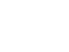 anessa